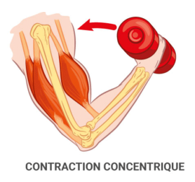 Concentrique